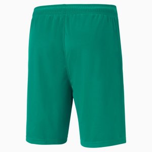 2ª Equipación Pantalones Senegal 2020 Verde