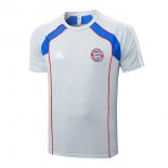 Camiseta Entrenamiento Bayern Munich 2025-2026 Gris 3