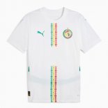 Tailandia Camiseta Senegal 1ª Equipación 2025
