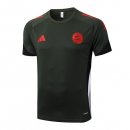 Camiseta Entrenamiento Bayern Munich 2025-2026 Verde 3