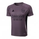 Camiseta Entrenamiento Arsenal 2025-2026 Purpura Gris