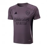 Camiseta Entrenamiento Arsenal 2025-2026 Purpura Gris