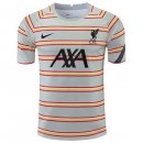 Replica Camiseta Liverpool Pre Match 2022 Gris