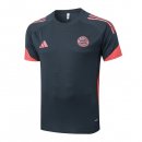 Camiseta Entrenamiento Bayern Munich 2025-2026 Gris 4