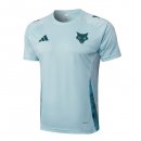 Camiseta Entrenamiento Cruzeiro 2025-2026 Azul