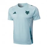 Camiseta Entrenamiento Cruzeiro 2025-2026 Azul