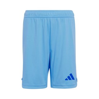 Pantalones Real Madrid 1ª Equipación Portero 2024-2025 Pantalones Real Madrid 1ª Equipación Portero 2024-2025