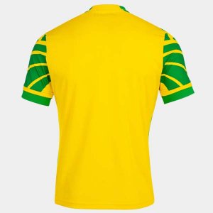 1ª Equipación Replica Camiseta Norwich City 2021-2022