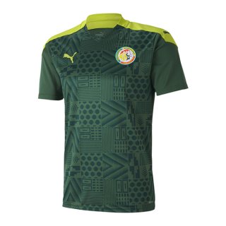 1ª Equipación Replica Camiseta Senegal 2020 Verde 1ª Equipación Replica Camiseta Senegal 2020 Verde
